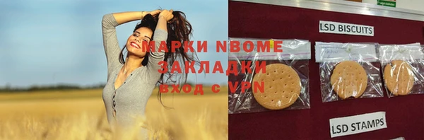 индика Беломорск