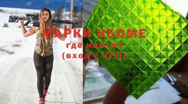 индика Беломорск