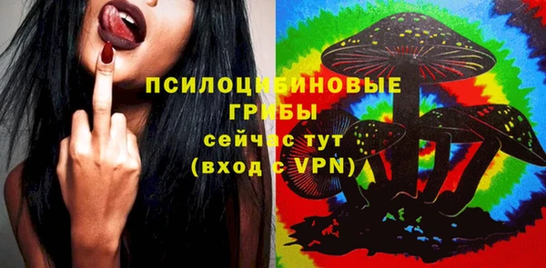 индика Беломорск