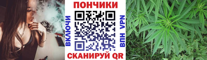 Каннабис MAZAR  цена наркотик  Волчанск 